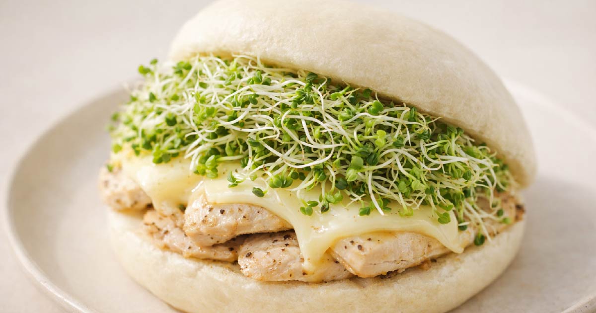 三日苗乳酪雞肉饅頭堡